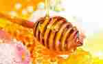 蜂蜜不能和什么一起吃，蜂蜜相克的食物有哪些