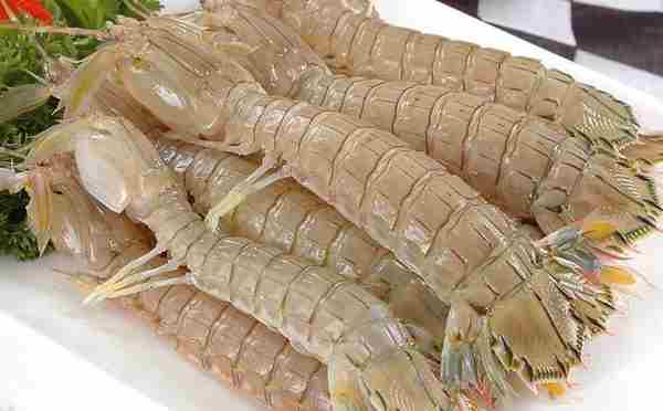 皮皮虾不能和什么一起吃，皮皮虾相克的食物有哪些